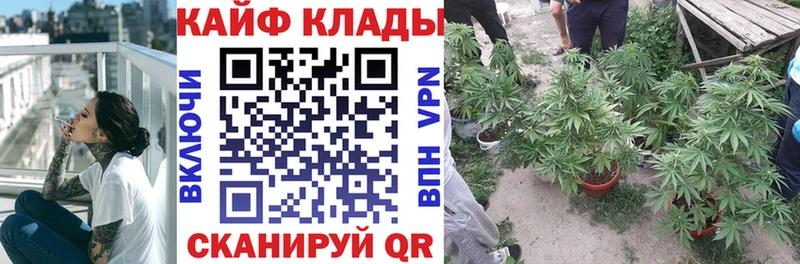 Продажа наркотиков Плавск МЕТАМФЕТАМИН  МЕФ  Alpha PVP  Конопля  OMG ССЫЛКА  Cocaine  Гашиш 