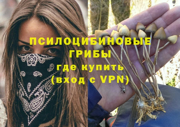 тгк Бугульма