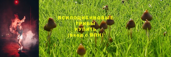 тгк Бугульма