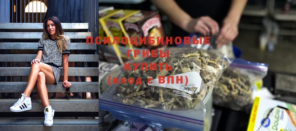 jwh Верея