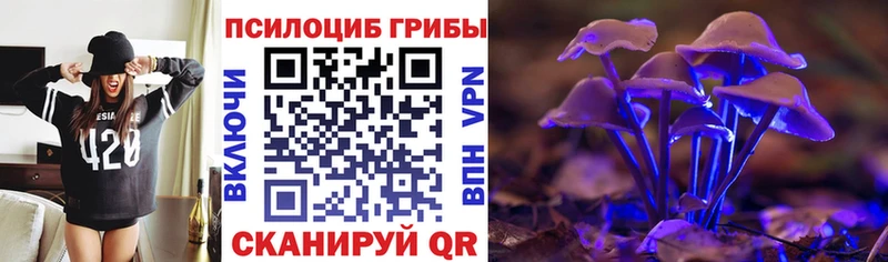 Галлюциногенные грибы Magic Shrooms  купить наркотик  Плавск 